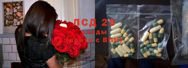 индика Корсаков