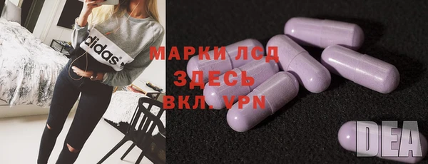 индика Шарыпово