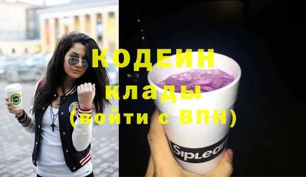 шишки Козельск