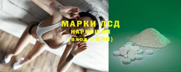 индика Шарыпово