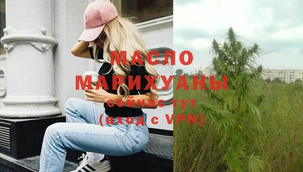 индика Шарыпово