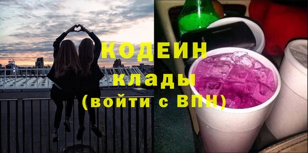 индика Шарыпово