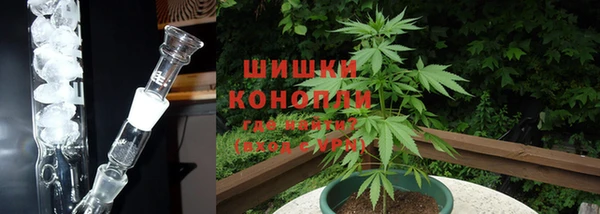 apvp Шали