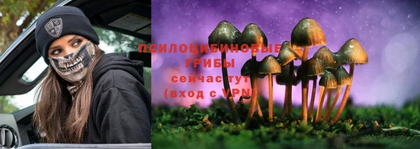 индика Корсаков
