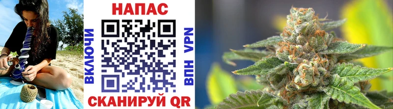 Бошки марихуана Ganja Онега