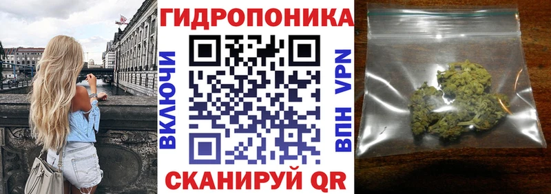 Бошки марихуана ГИДРОПОН  Купить закладки  Онега 
